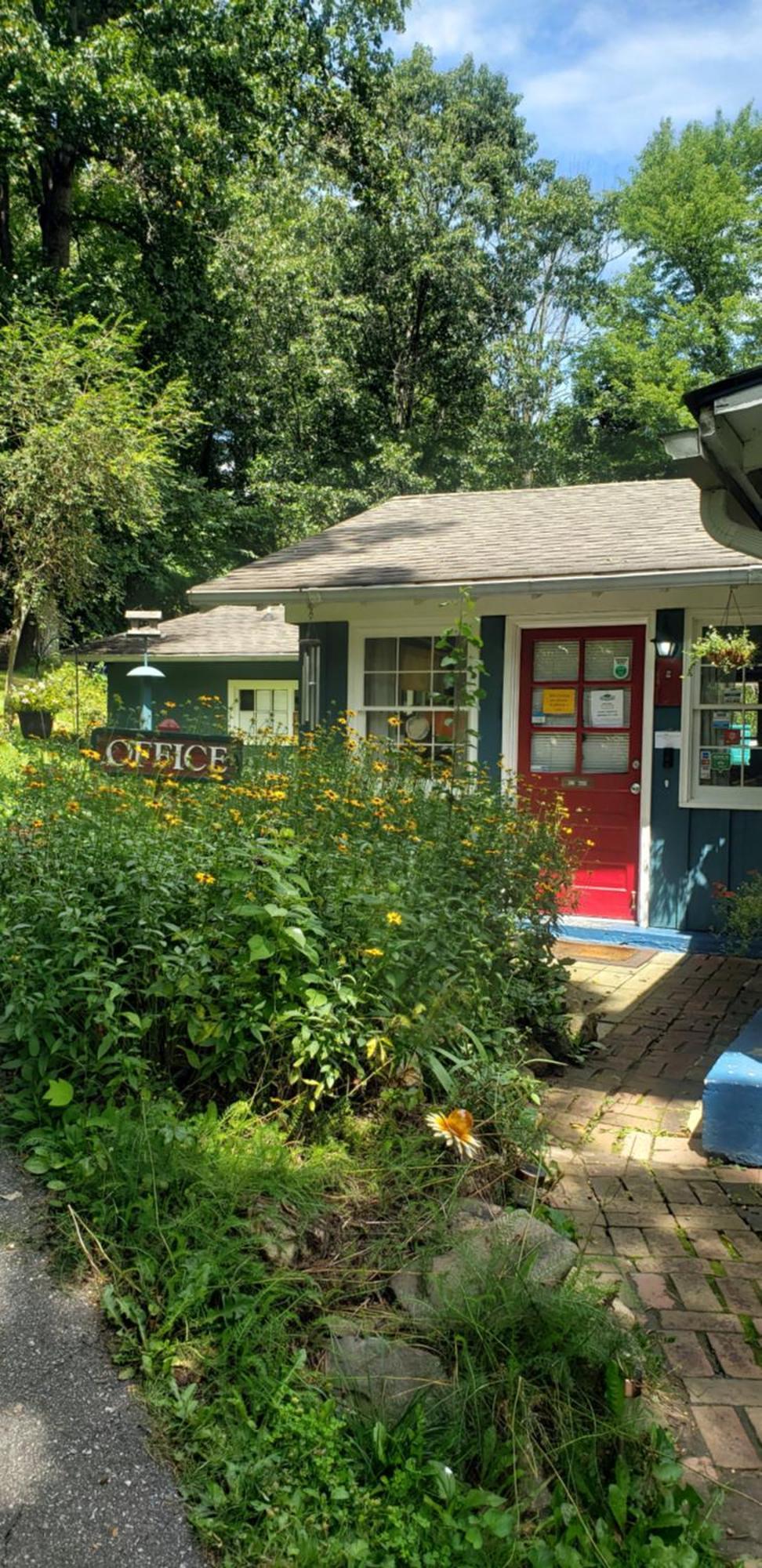 The Pines Cottages Woodfin エクステリア 写真